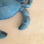 فندق مبيت وإفطار La Casa Al Mare